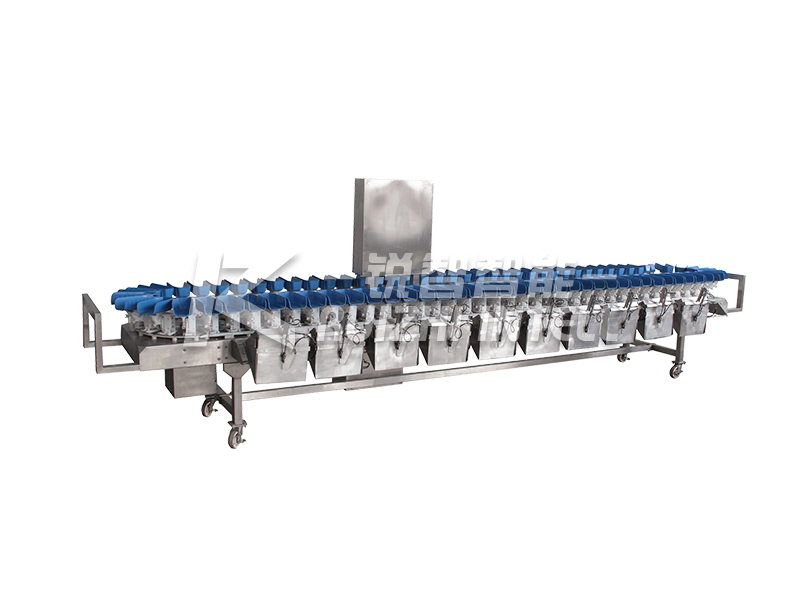 【銳智出品系列】之食品稱重分級、智能包裝整體解決方案